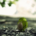 Google готова поставить крест на Android